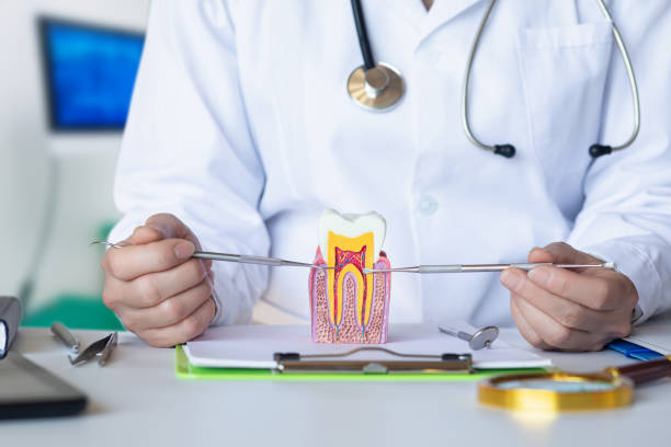 Best Emergency Dentist for Lost Fillings or Crowns in South Hill, NY